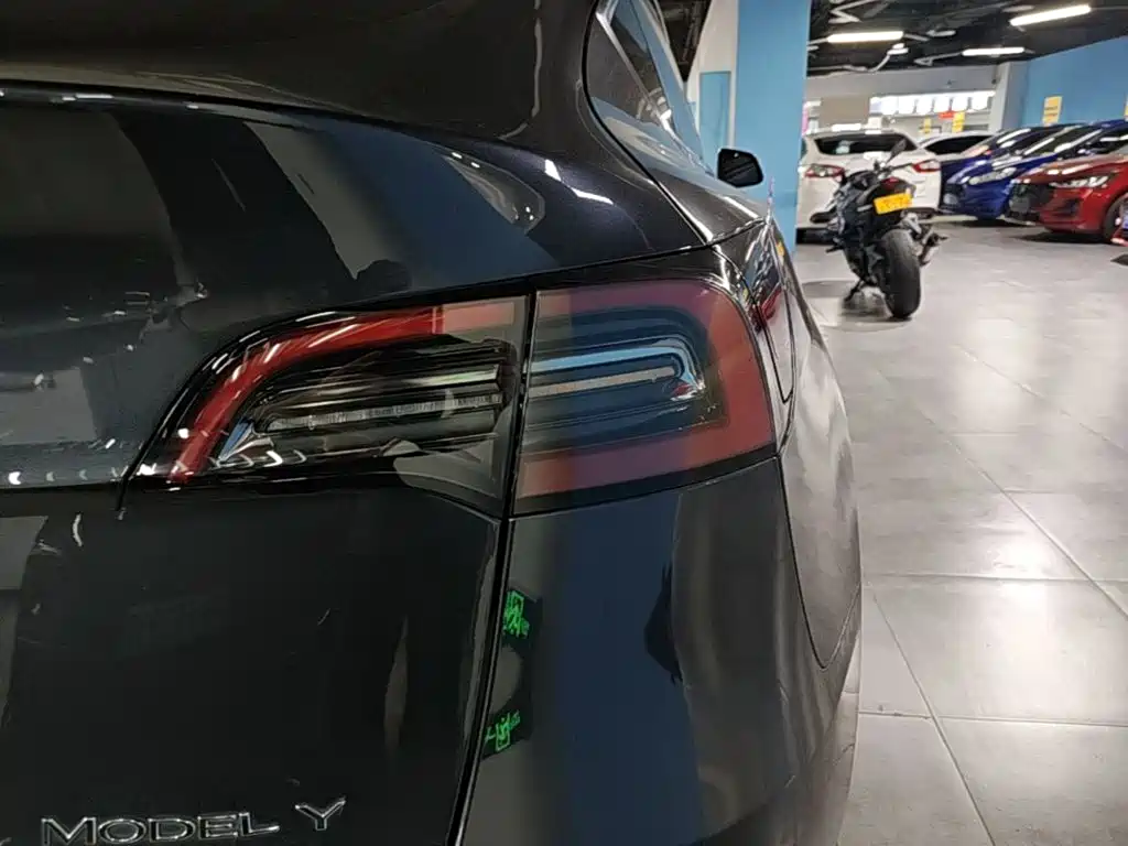 Tesla Model Y — миниатюра 8