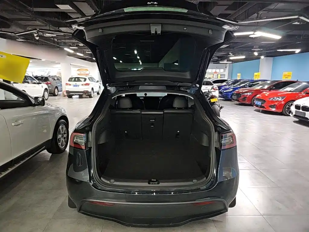 Tesla Model Y — миниатюра 19