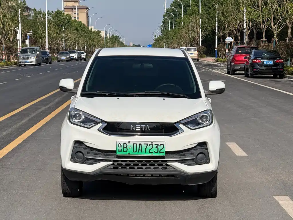 Neta N01 2019 380e