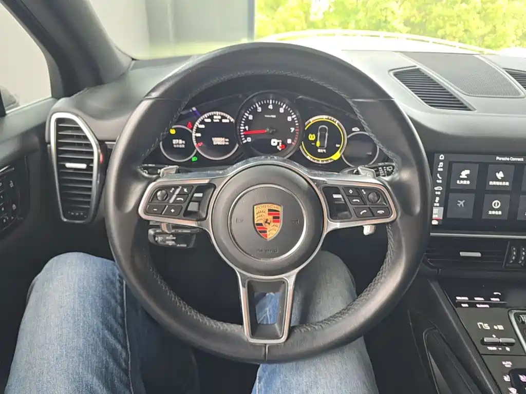 Porsche Cayenne — миниатюра 11
