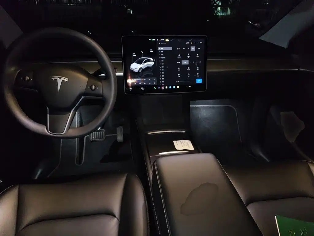 Tesla Model Y — миниатюра 5
