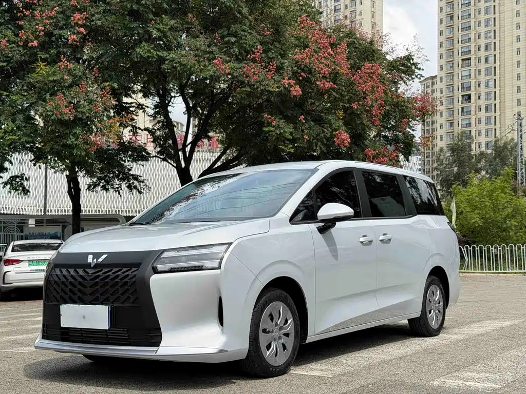 Wuling 星光730