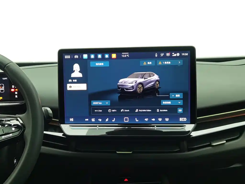 VOLKSWAGEN WITH THE CROWD 06