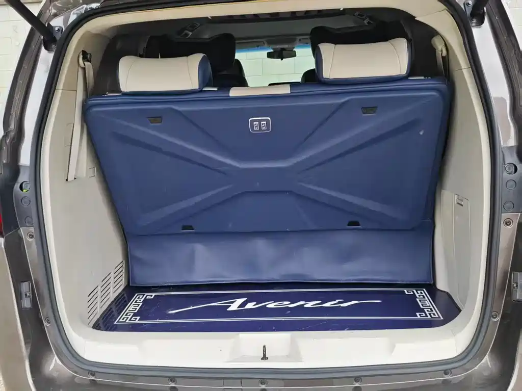 Buick GL8 — миниатюра 8