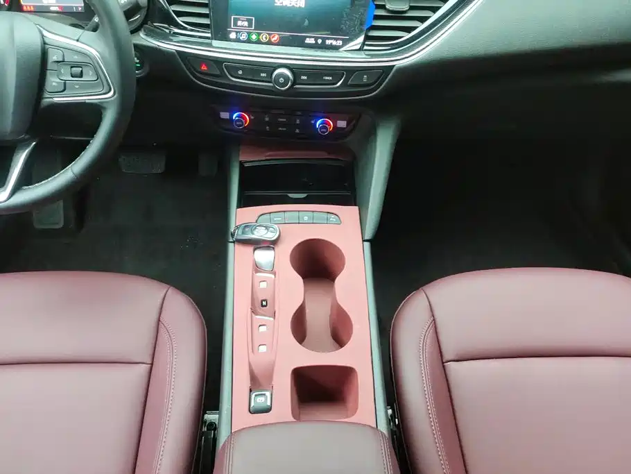 Buick Regal — миниатюра 16