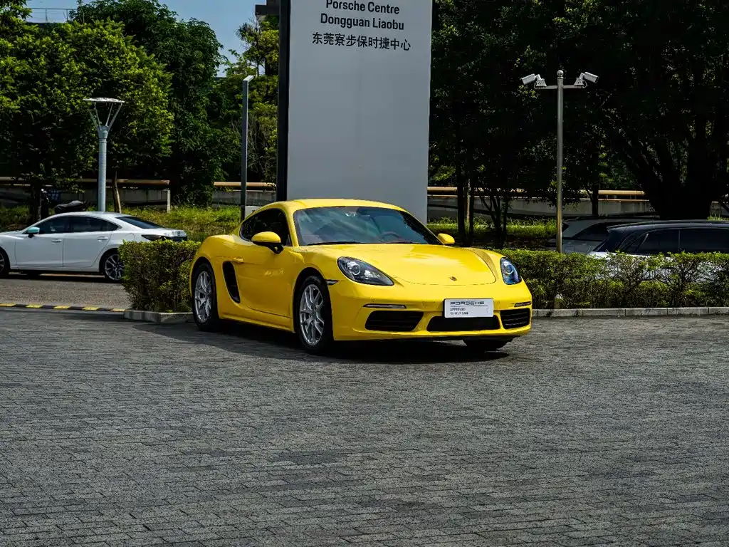 Porsche 718 — миниатюра 16