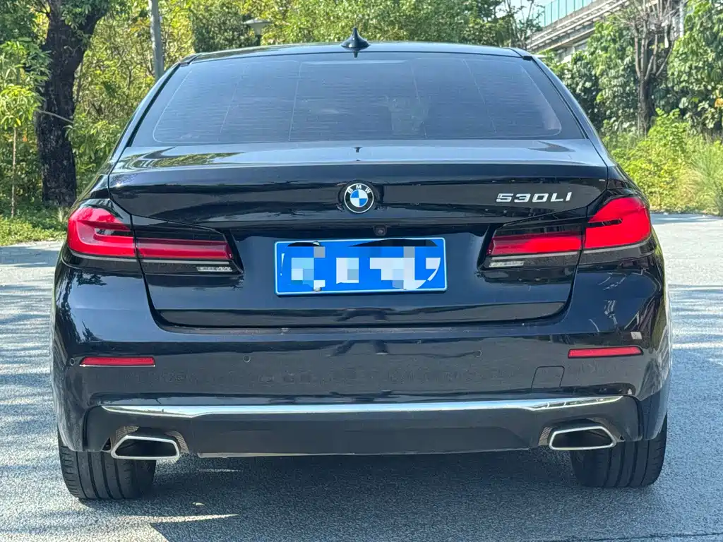 BMW 5 Series — миниатюра 5