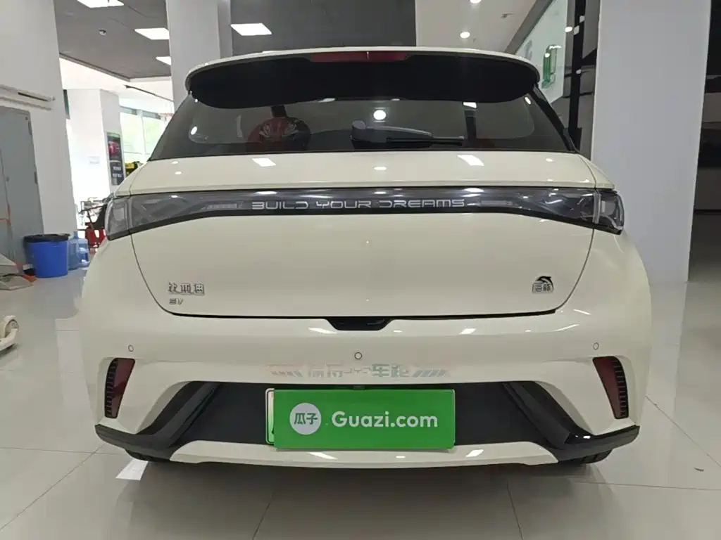 BYD Dolphin — миниатюра 6