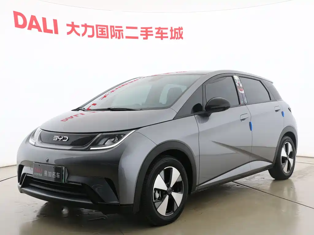 Byd Dolphin 2024