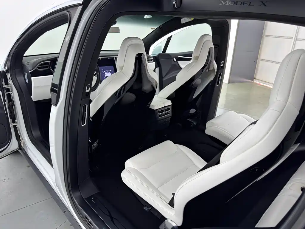 Tesla Model X — миниатюра 15