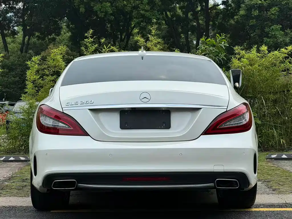 Mercedes-Benz CLS — миниатюра 16