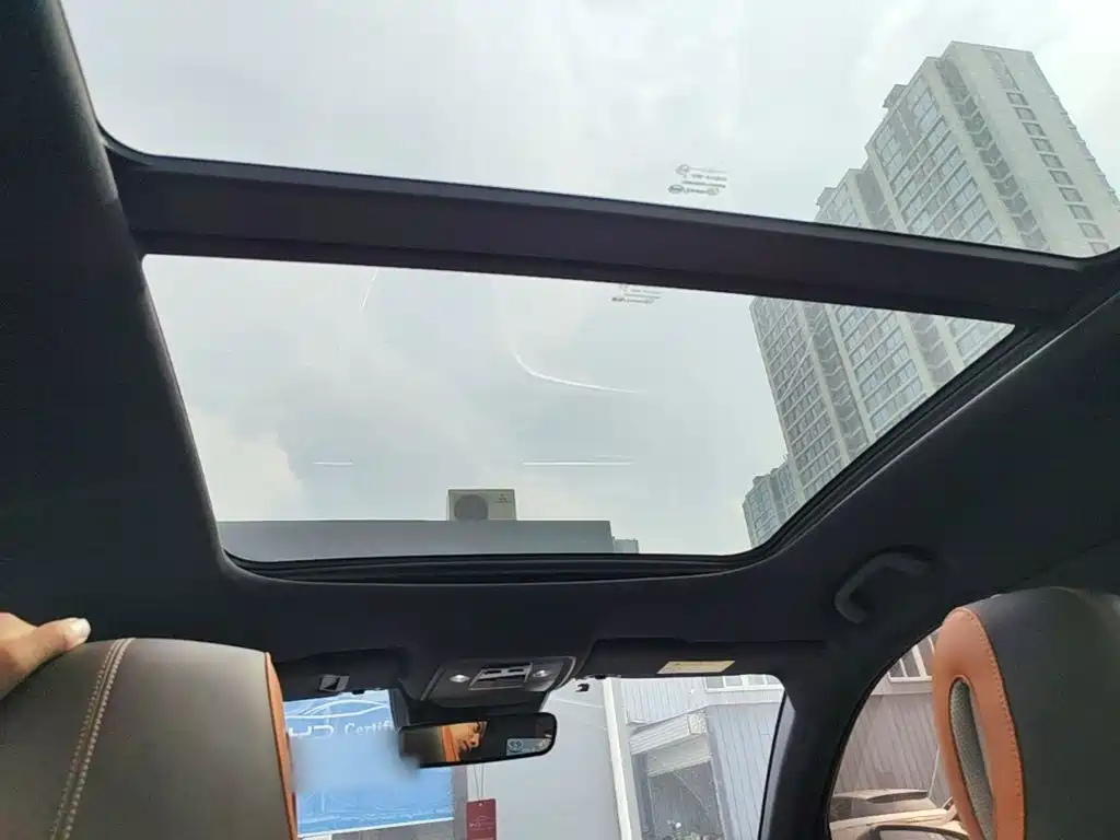 BYD Pro New Energy — миниатюра 18