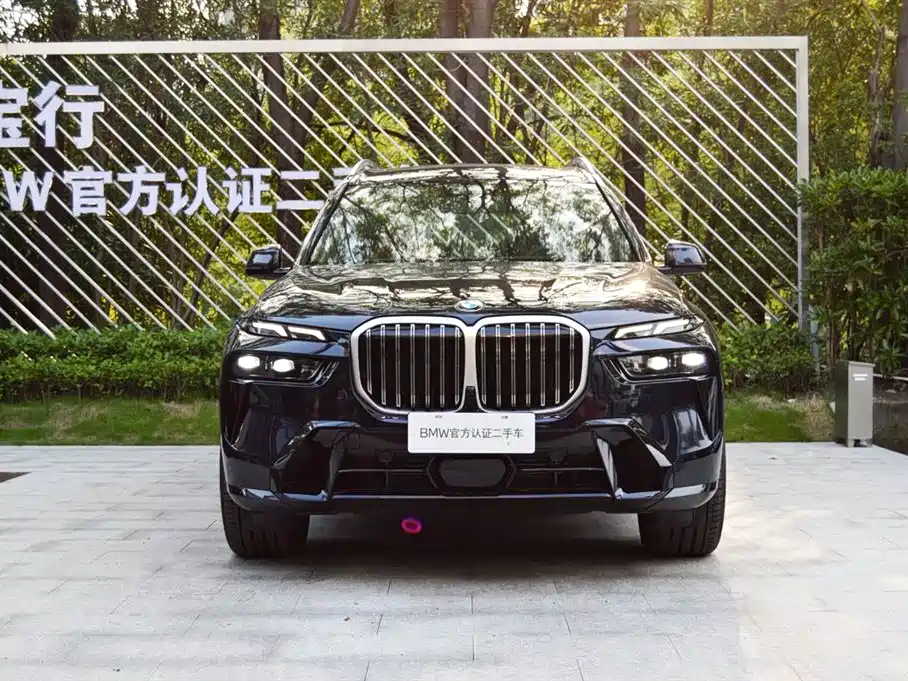 BMW X7 — миниатюра 4