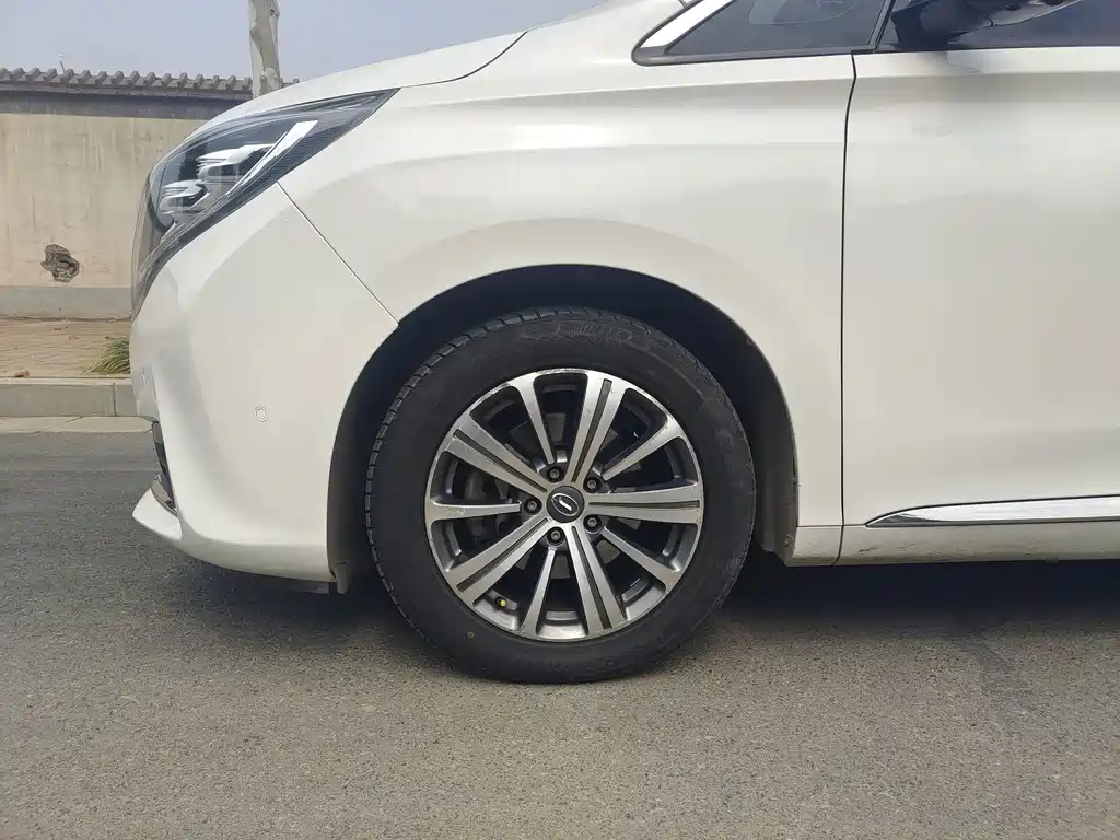 GAC Motor Trumpchi M8 — миниатюра 19
