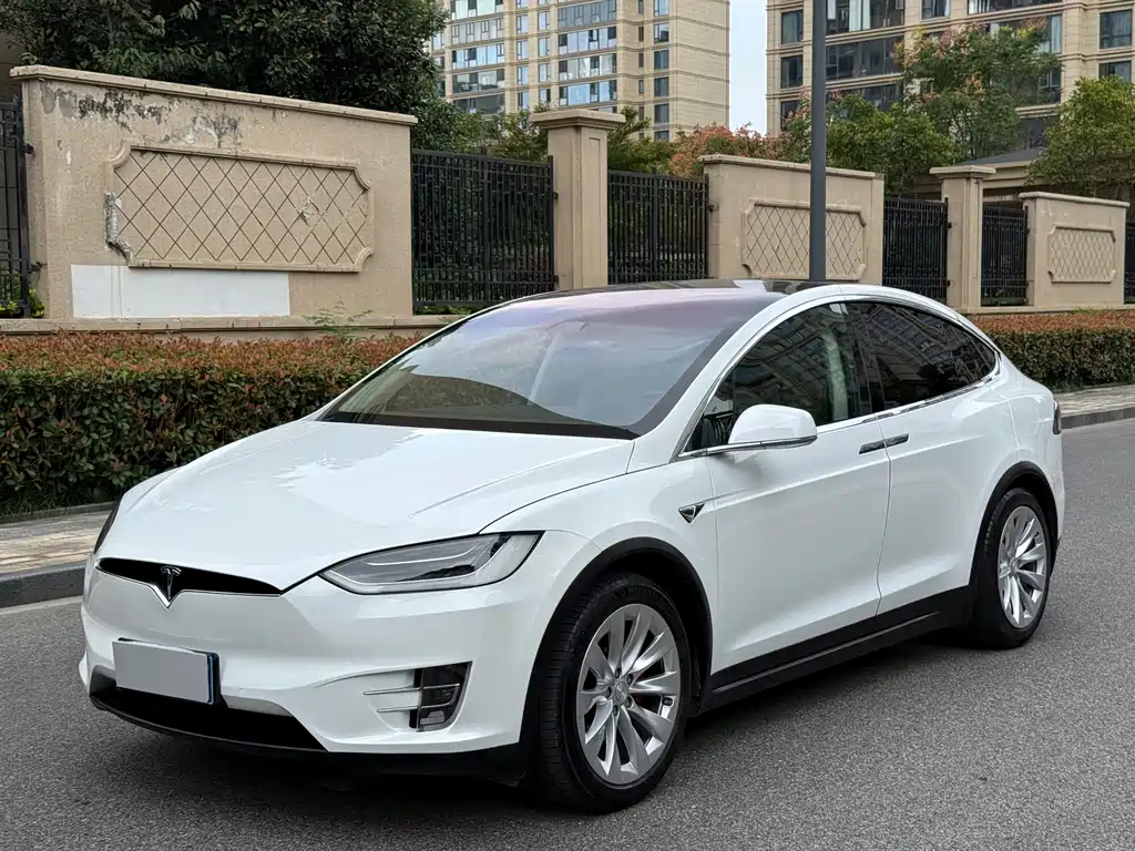 Tesla Model X — миниатюра 7