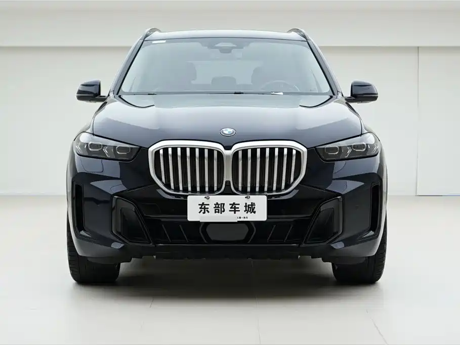 BMW X5 — миниатюра 2
