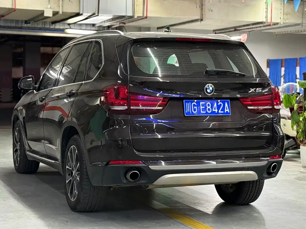 BMW X5 (Import) — миниатюра 6