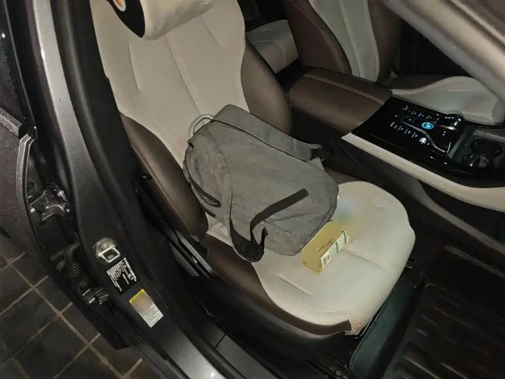 BYD Qin PLUS — миниатюра 20
