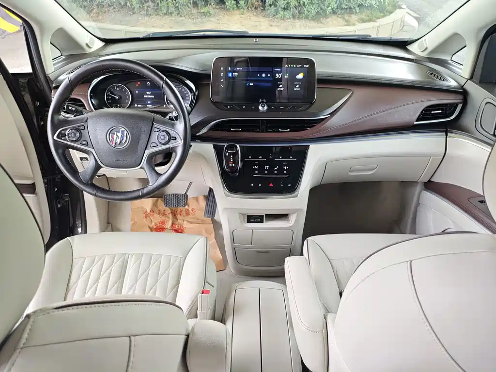 Buick GL8 — миниатюра 10