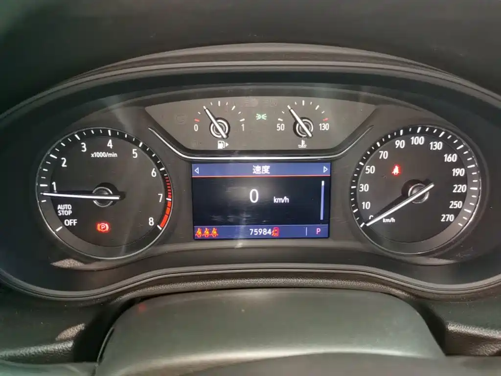 Buick Regal — миниатюра 12