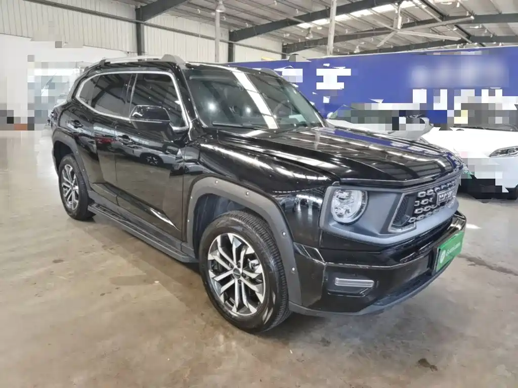 Haval Big Dog PLUS — миниатюра 4
