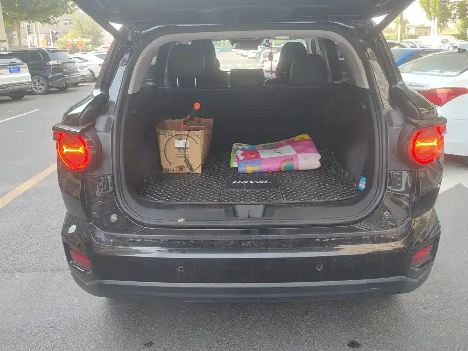 Haval Big Dog PLUS — миниатюра 4
