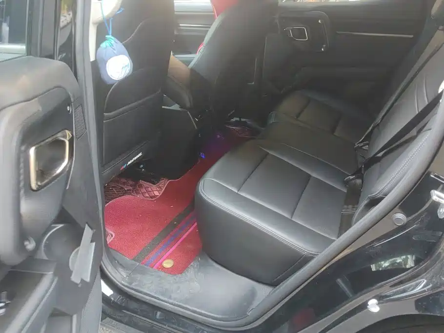 Haval Big Dog PLUS — миниатюра 11