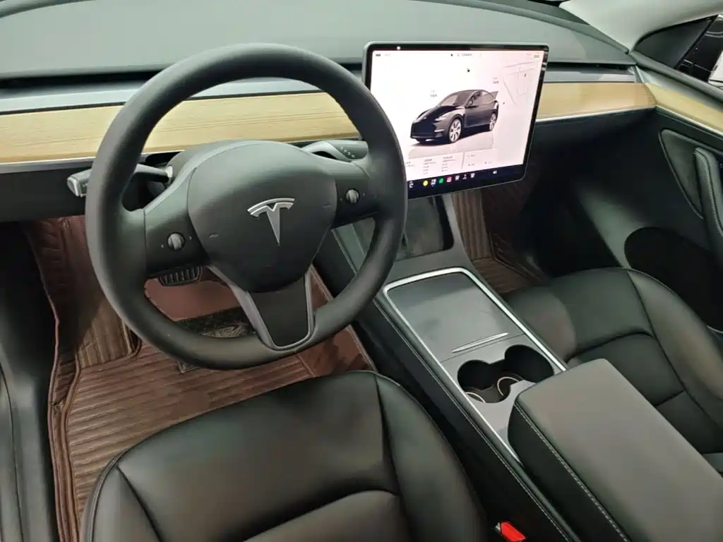 Tesla Model Y — миниатюра 10
