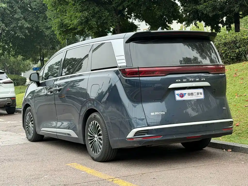Denza Denza D9 — миниатюра 4