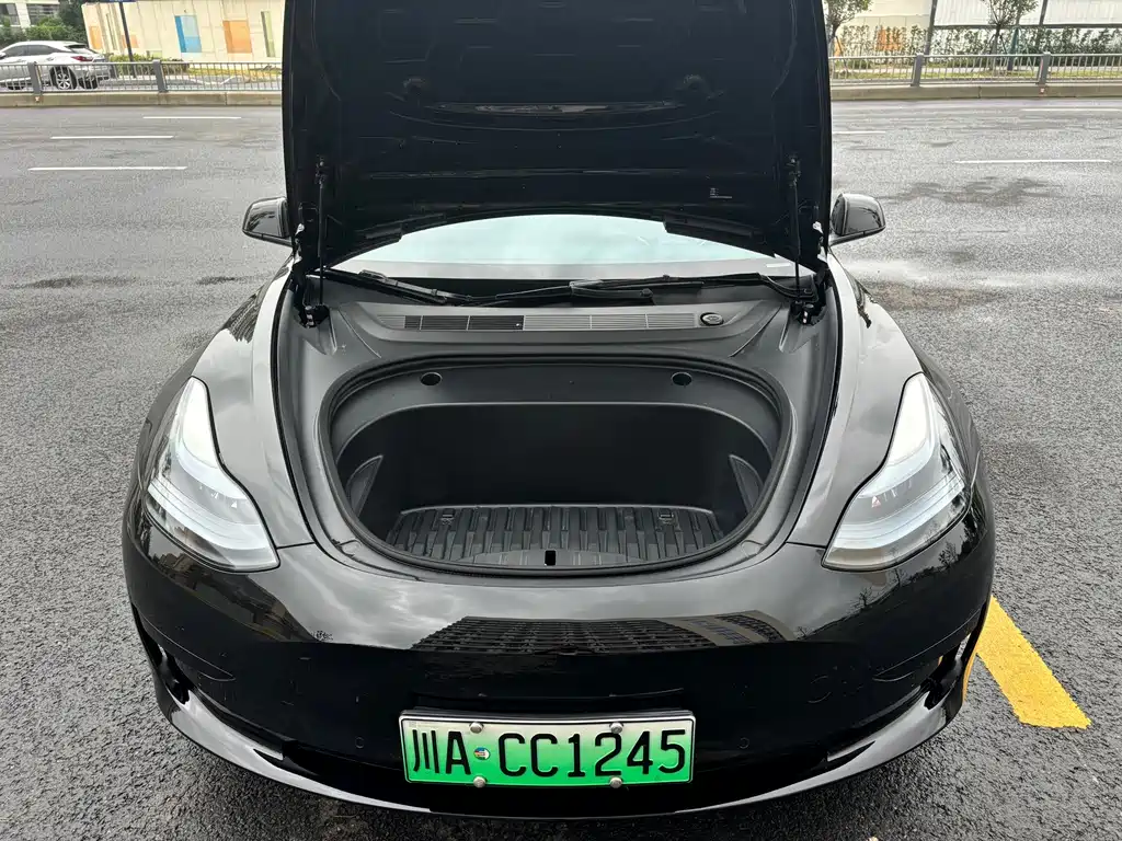 Tesla Model 3 — миниатюра 23