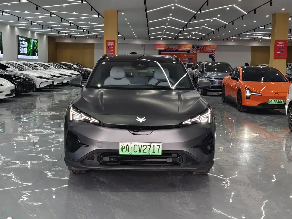 ARCFOX EXTREME FOX POLAR FOX ALPHA T5