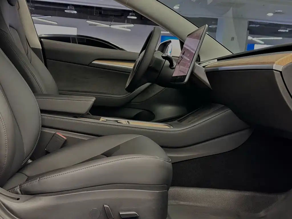 Tesla Model 3 — миниатюра 19