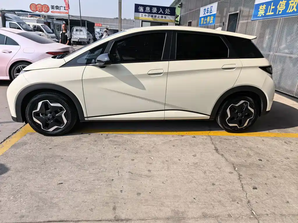 BYD Dolphin — миниатюра 4