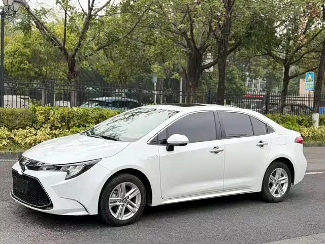 TOYOTA LEI LING 2021