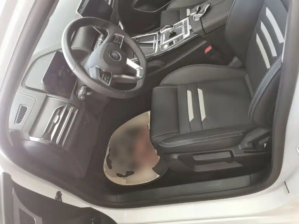 BYD Qin Pro NEV — миниатюра 15