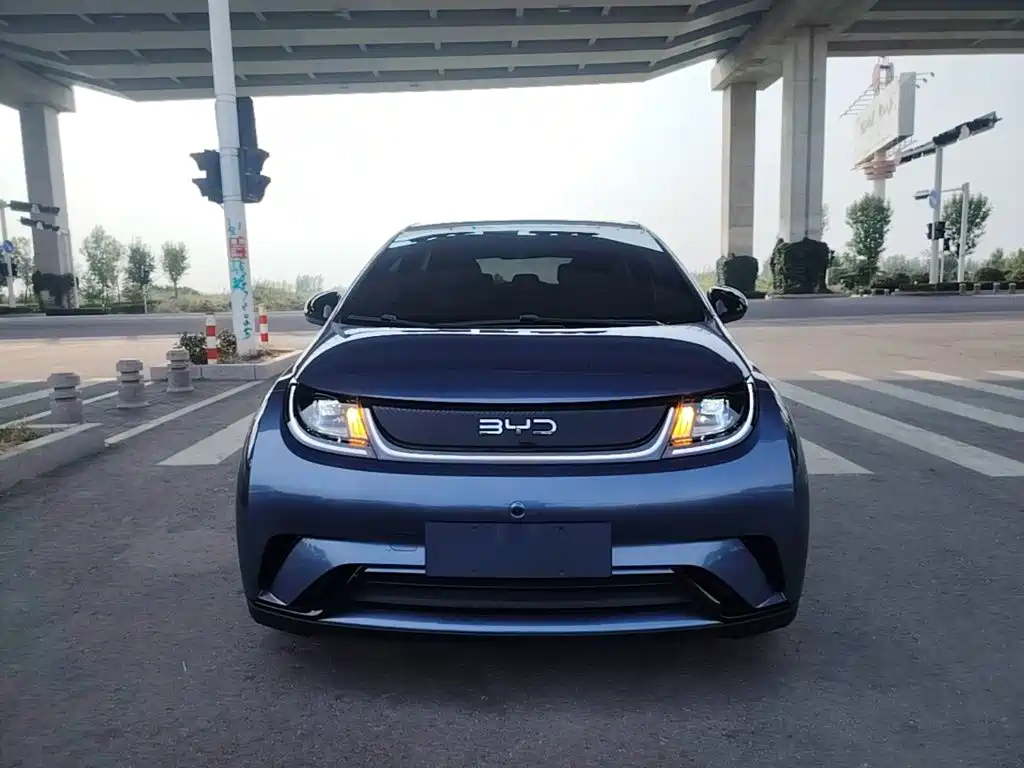 BYD Dolphin — миниатюра 3