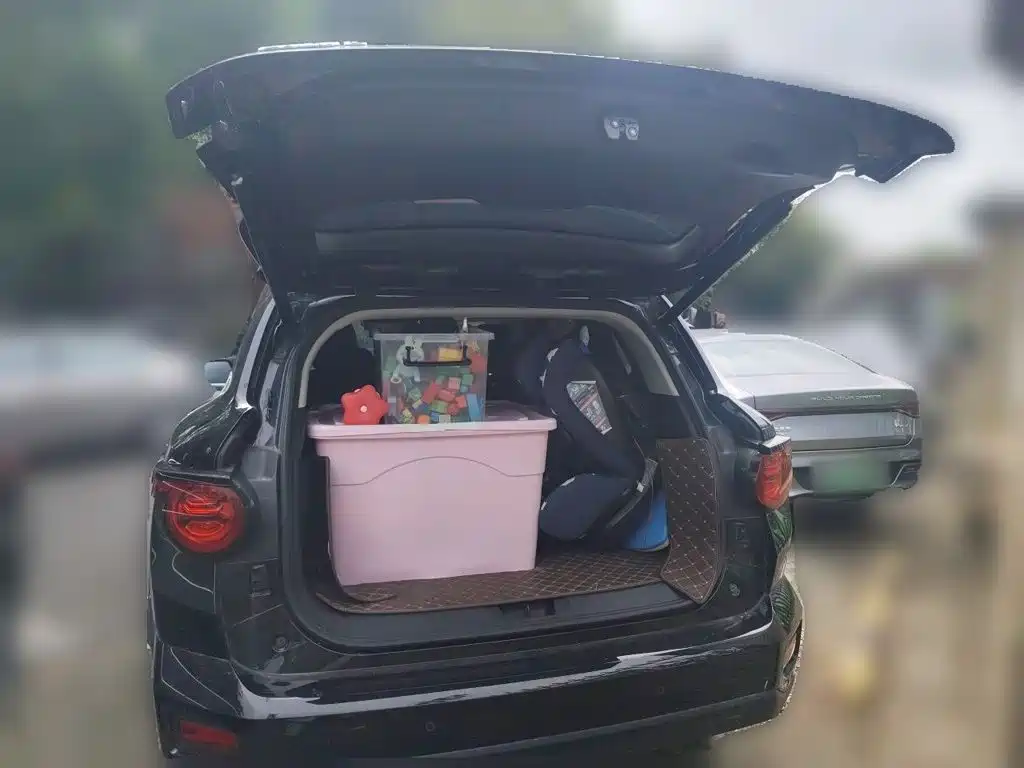 Haval Big Dog PLUS New Energy — миниатюра 16