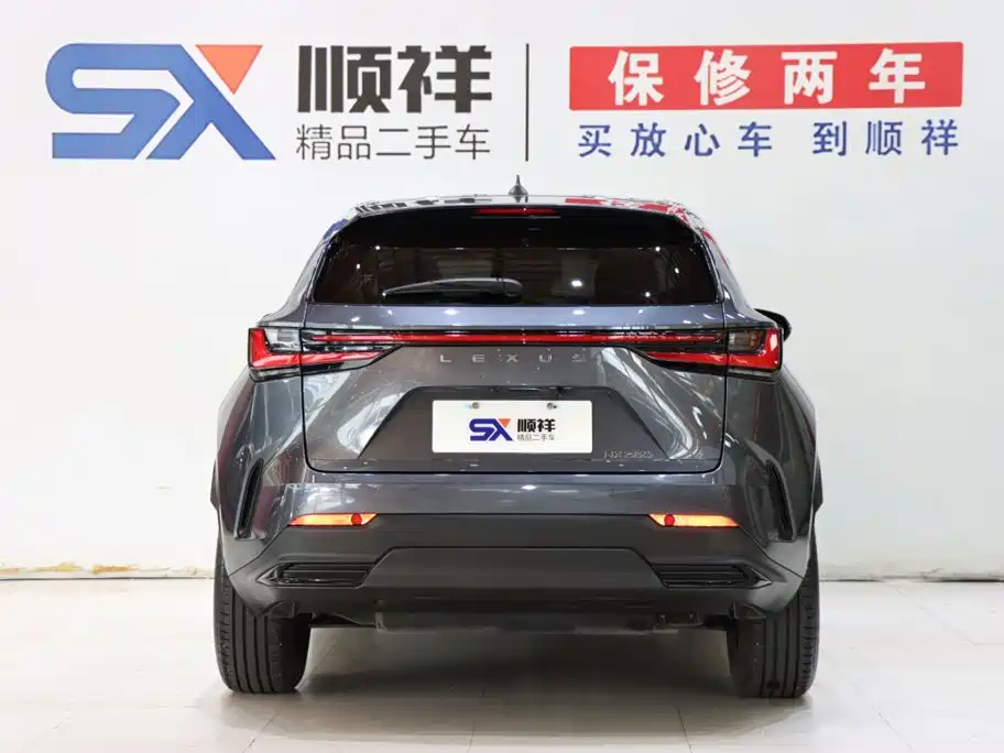 Lexus NX — миниатюра 6