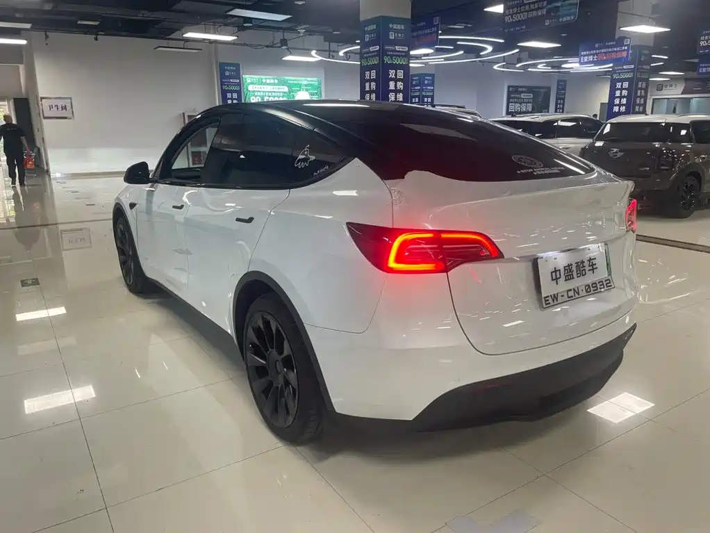 Tesla Model Y — миниатюра 3