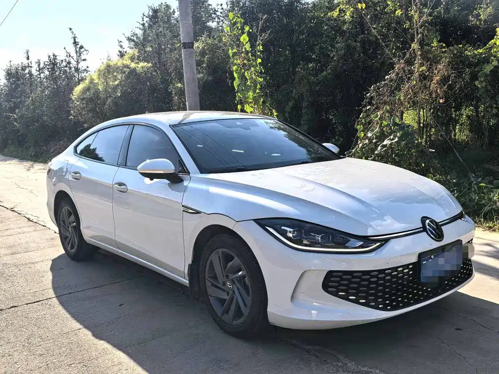 Volkswagen Lamando — миниатюра 3