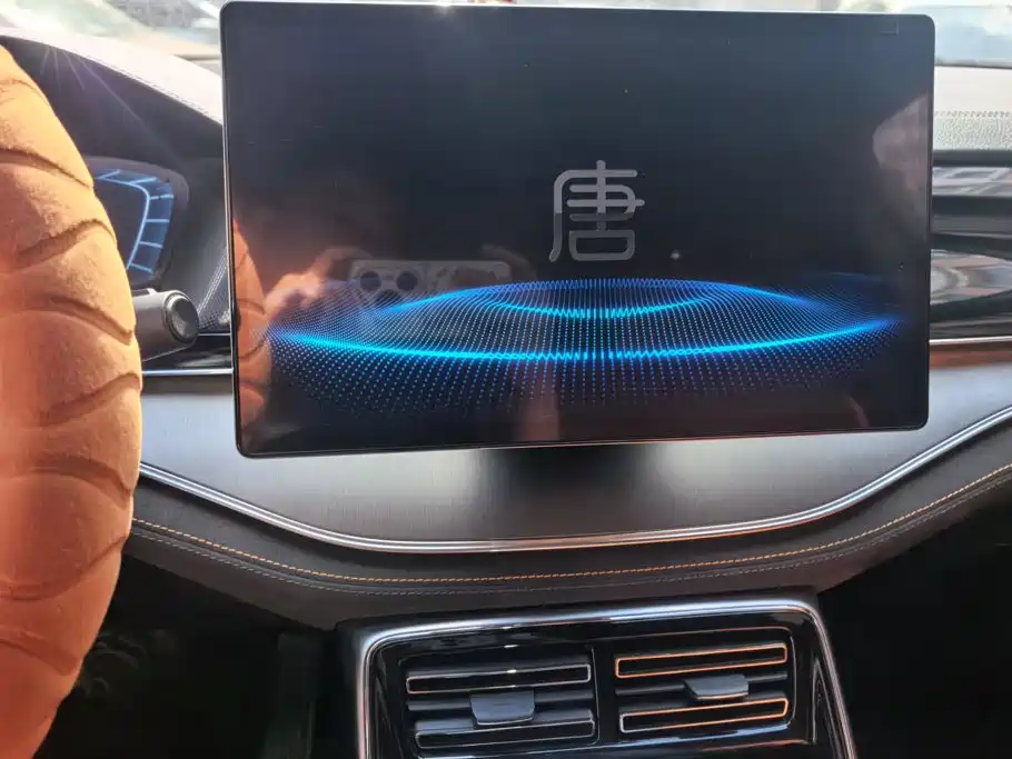 BYD Tang New Energy — миниатюра 13