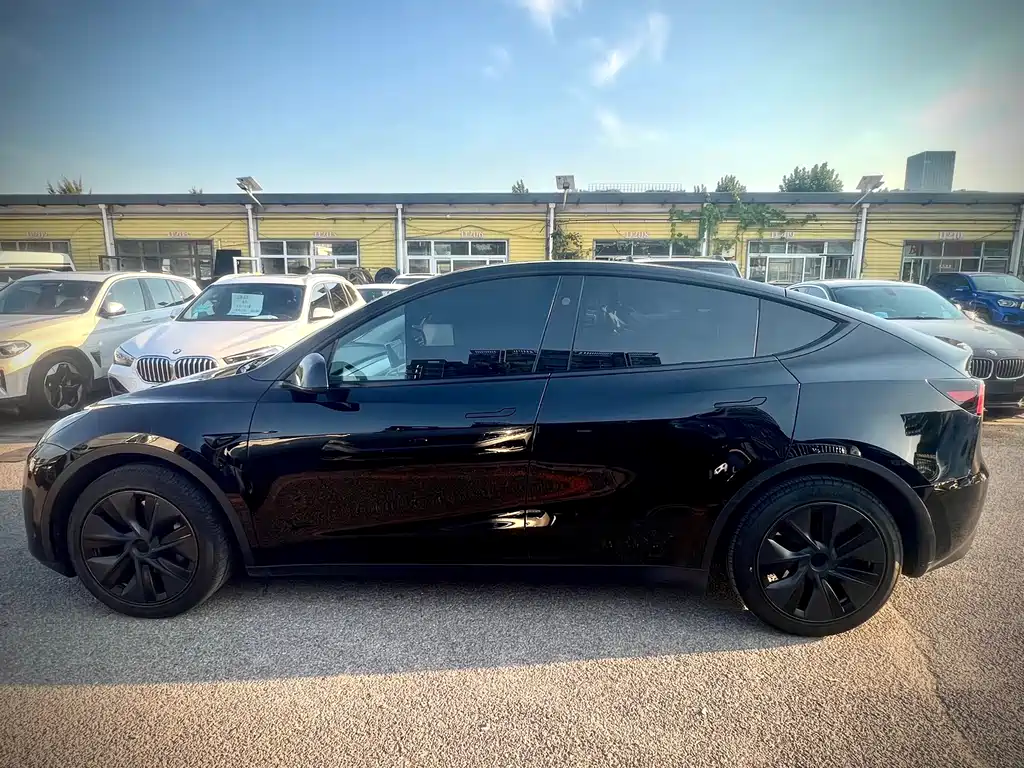 Tesla Model Y — миниатюра 8