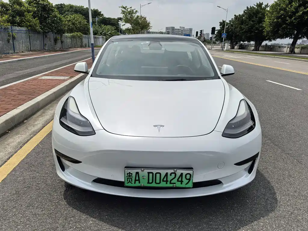 Tesla Model 3 2021 3D1