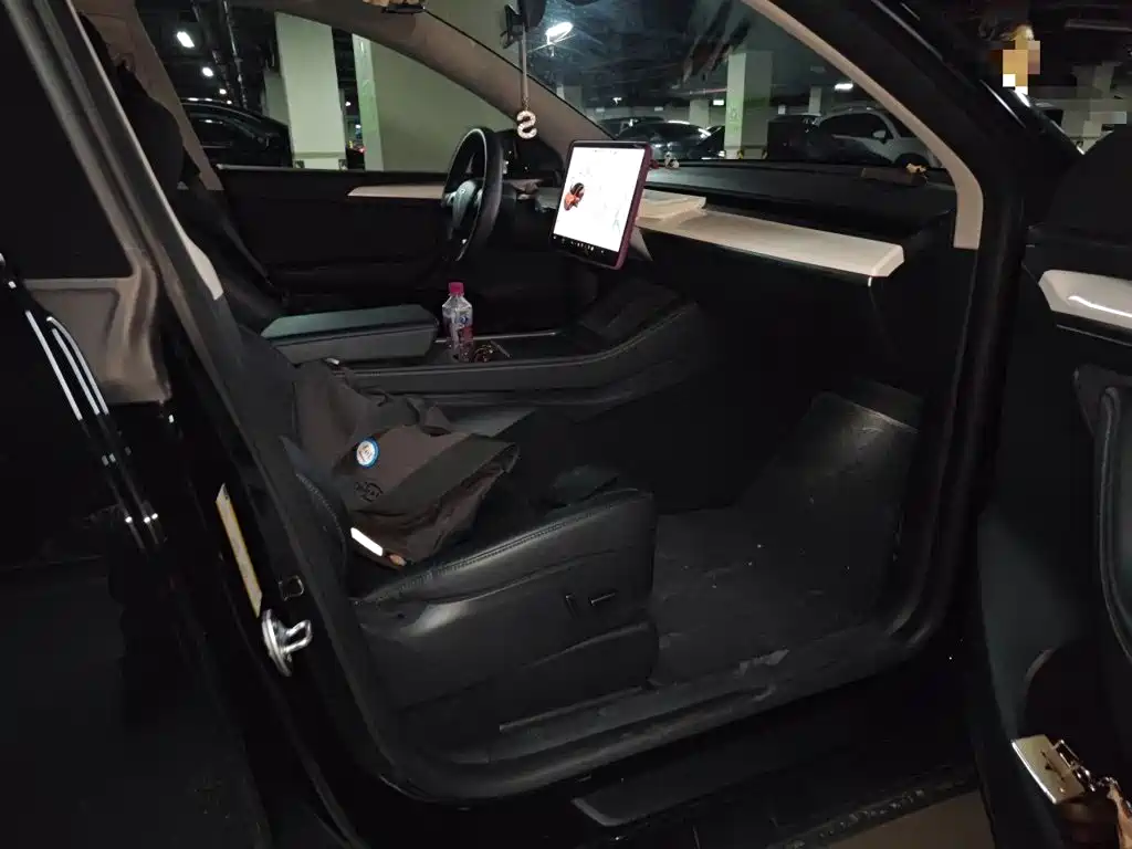 Tesla Model Y — миниатюра 19