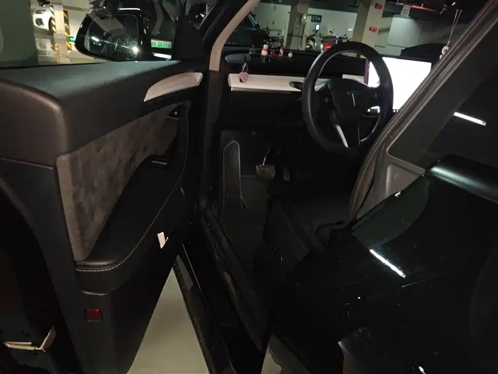 Tesla Model Y — миниатюра 12