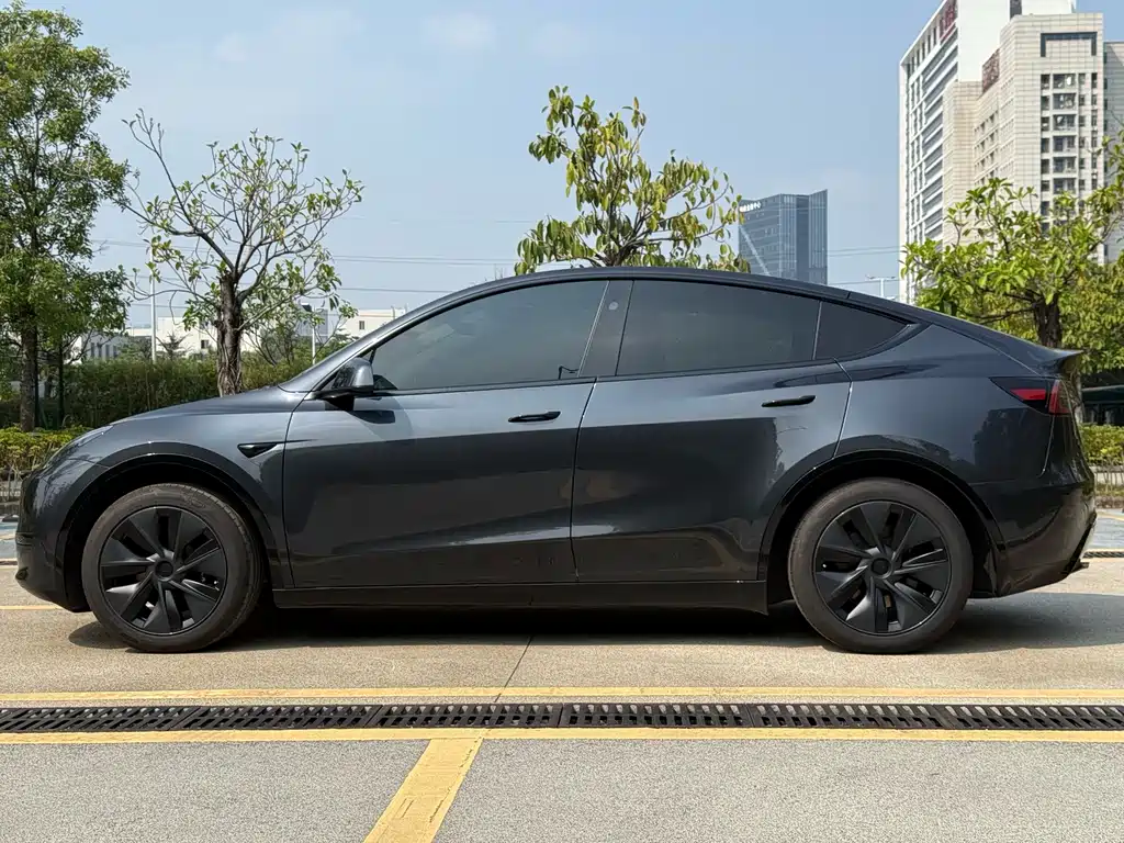 Tesla Model Y — миниатюра 15