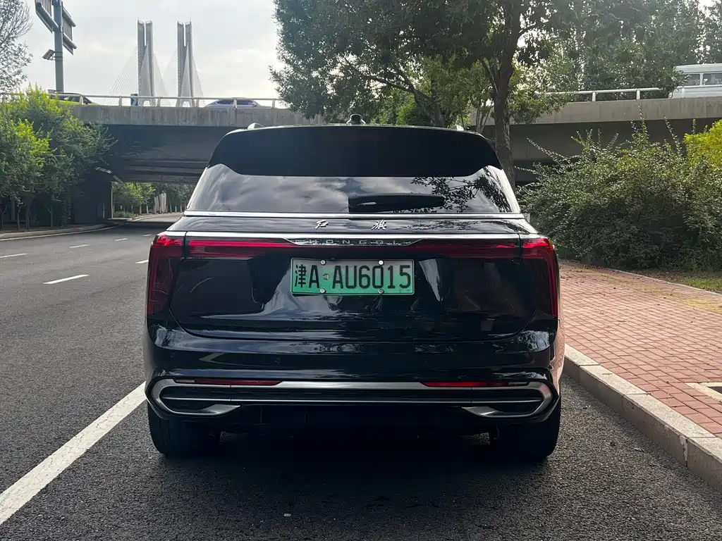 Hongqi Hongqi E-HS9 — миниатюра 14