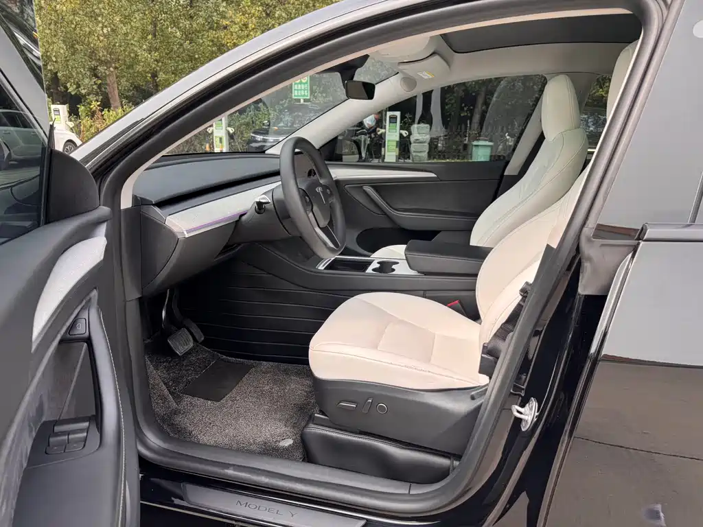 Tesla Model Y — миниатюра 2