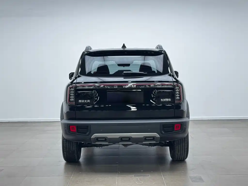 Haval Big Dog — миниатюра 6
