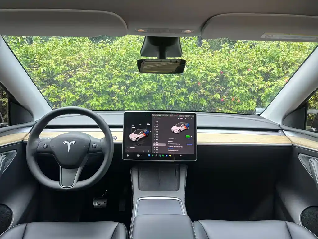 Tesla Model Y — миниатюра 6